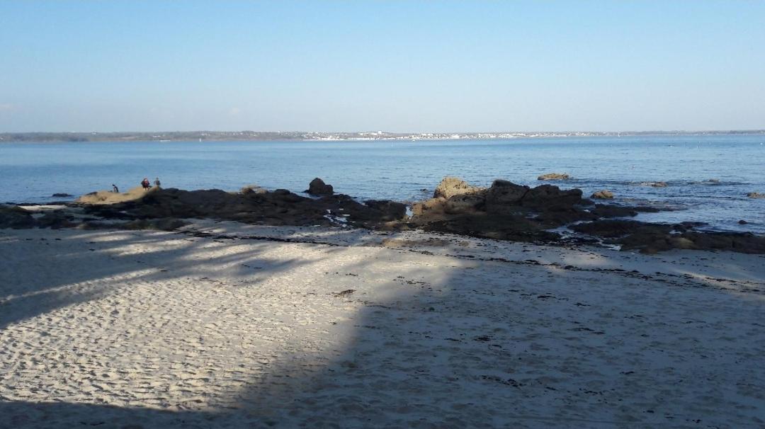 L'Es-Cale De Beg-Meil Avec Piscine Et Plage Appartement Avec 1 Chambre Et 1 Alcove Fouesnant Extérieur photo